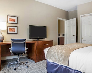 Business Studio Suite, 1 King Bed with Sofa Bed