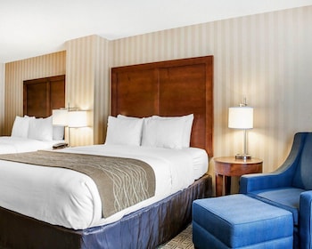 Standard 2 Queen Beds