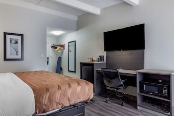 Room, 1 King Bed, Non Smoking (Upgrade)