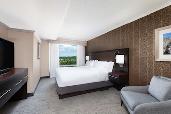 Studio Suite, 1 King Bed