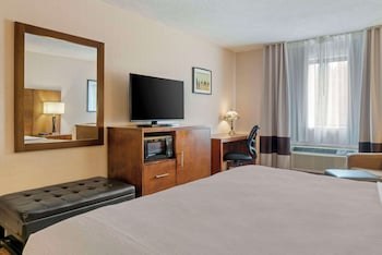 Business Room, 1 King Bed, Non Smoking