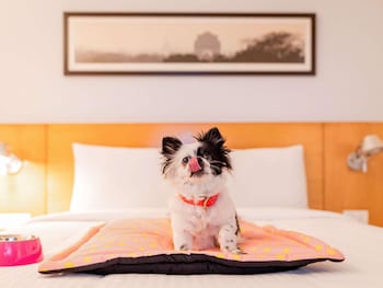 Standard Room, 1 Double Bed, Accessible