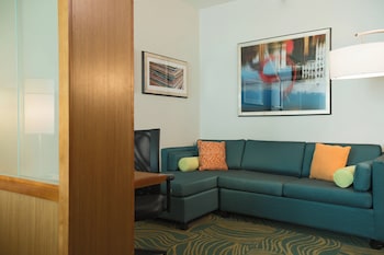 Suite, 1 King Bed with Sofa bed
