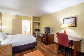 Room, 1 King Bed, Accessible, Non Smoking (Efficiency)