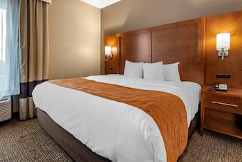Suite, 1 King Bed with Sofa bed, Accessible, Non Smoking