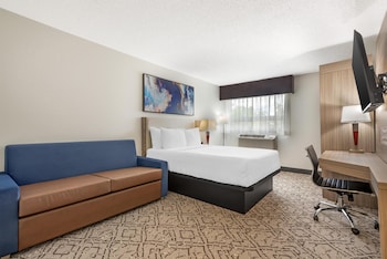 Standard Room, 1 Queen Bed, Non Smoking, Refrigerator & Microwave (Walk-in Shower;with Sofabed)