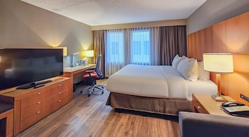 Standard Room, 1 King Bed with Sofa bed
