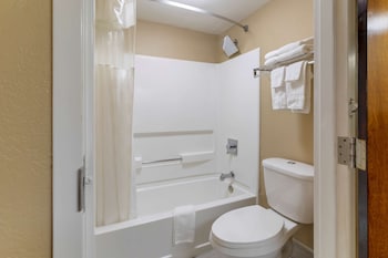 Suite, 1 King Bed with Sofa bed, Smoking, Jetted Tub (with Sofabed)