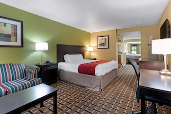 Suite, 1 King Bed with Sofa bed, Smoking, Jetted Tub (with Sofabed)