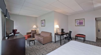 Suite, 1 King Bed (with Sofabed)