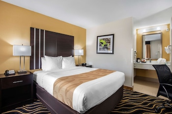 Standard Room, 1 Queen Bed, Non Smoking