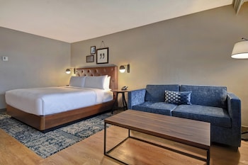 Executive Suite, 1 King Bed with Sofa bed