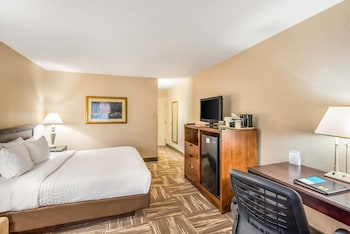 Room, 1 King Bed with Sofa bed, Non Smoking (Upgrade)