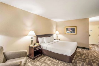 Standard Room, 1 King Bed, Non Smoking (Pet Friendly)
