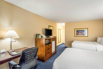 Standard Double Room, 2 Double Beds, Non Smoking (Atrium View, Pet Friendly)