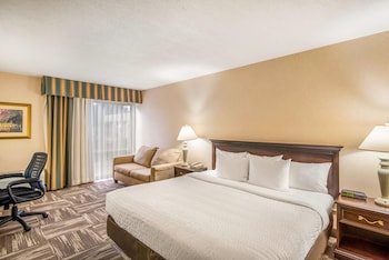 Room, 1 King Bed with Sofa bed, Non Smoking (Upgrade)