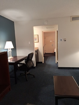 Suite, 1 King Bed with Sofa bed, Non Smoking