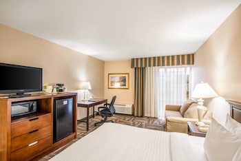 Room, 1 King Bed with Sofa bed, Non Smoking (Upgrade)
