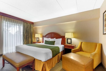 Suite, 1 King Bed, Non Smoking, Refrigerator & Microwave (with Sofabed)