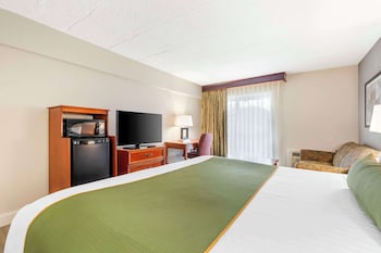 Standard Room, 1 King Bed, Non Smoking, Refrigerator & Microwave (with Sofabed)