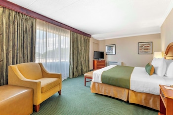 Suite, 1 King Bed, Non Smoking, Refrigerator & Microwave (Penthouse;Oversized Room;with Sofabed)