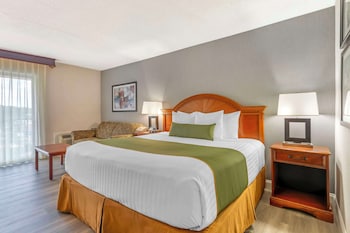 Standard Room, 1 King Bed, Non Smoking, Refrigerator & Microwave (with Sofabed)