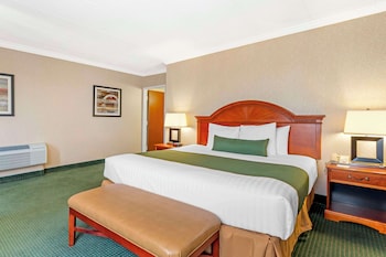 Suite, 1 King Bed, Non Smoking, Refrigerator & Microwave (Penthouse;Oversized Room;with Sofabed)