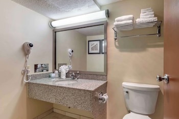 Suite, 1 King Bed, Non Smoking, Refrigerator & Microwave (with Sofabed)