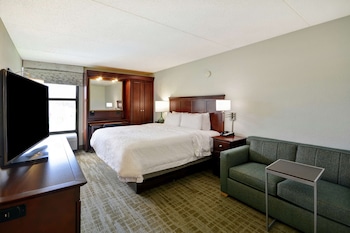 Room, 1 King Bed, Non Smoking, Refrigerator & Microwave (Sofa Bed)