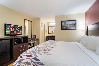 Deluxe Room, 1 King Bed, Accessible, Non Smoking (Roll-In Shower)