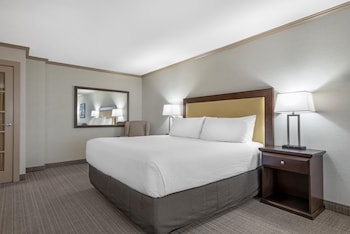 Standard Room, 1 King Bed, Non Smoking, Jetted Tub