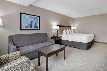 Standard Room, 1 King Bed, Non Smoking, Refrigerator & Microwave