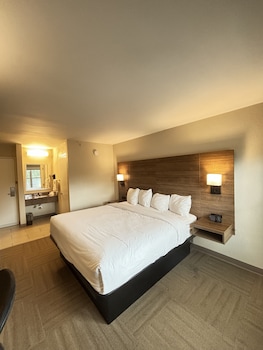Deluxe Room, 1 King Bed, Accessible, Non Smoking (Roll-in shower w/ Grab Bars)