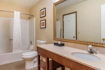 Suite, 1 King Bed with Sofa bed, Non Smoking