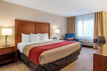 Room, 1 King Bed, Accessible, Non Smoking