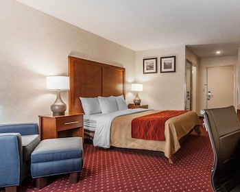 Suite, 1 King Bed with Sofa bed, Non Smoking