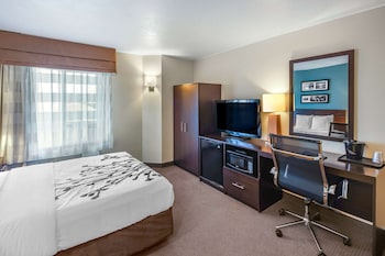 Standard Room, 1 Queen Bed, Non Smoking