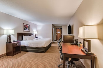 Standard Room, 1 King Bed, Non Smoking