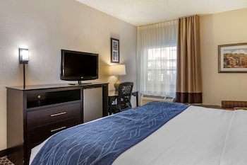 Room, 1 King Bed, Accessible, Non Smoking (Accessible Tub)