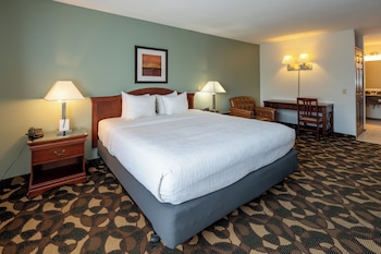 Standard Room, 1 King Bed, Non Smoking