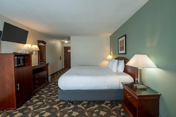Room, 1 King Bed, Accessible, Non Smoking