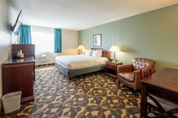 Standard Room, 1 King Bed, Non Smoking