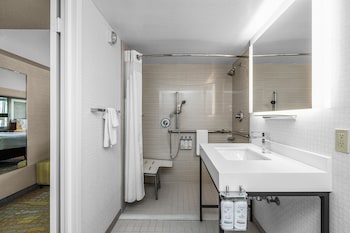Standard Room, 1 King Bed, Roll-in Shower (Communications Accessible)