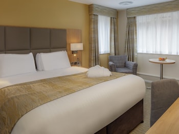 Privilege, Room, 1 King Bed