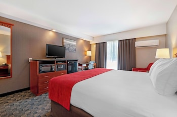 Standard Room, 1 King Bed, Accessible, Refrigerator