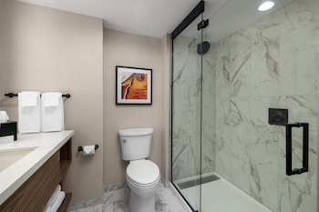 Room, 1 Double Bed, Accessible (Roll-In Shower)