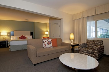 Premium Studio, 1 King Bed, Jetted Tub (Coast Honeymoon Suite)
