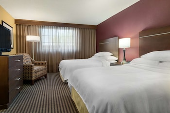 Premium Suite, 2 Double Beds (Wellness, In-room air purification)