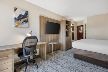 Standard Room, 1 King Bed, Non Smoking, Refrigerator (with Sofabed)