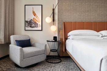 Room, 1 King Bed